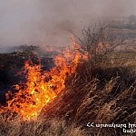 Пожары, вспыхнувшие в разных регионах Армении на площади около 349 гектаров, потушены