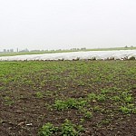 Сократилась площадь сельскохозяйственных угодий, особо охраняемых природных территорий и лесных угодий, увеличились земли промышленного и энергетического значения