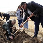 В Армении в рамках республиканской посадки деревьев было высажено 451 000 саженцев