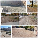 Etchmiadzin Residents Beating Alarm Signal about Damage of Trees in Area of St. Etchmiadzin Cathedral: Mother See Assures New Trees To Be Planted in Place of Uprooted Dry Trees