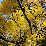 Погода в Армении, прогноз погоды на ближайшие 5 дней