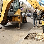 Work օf Replacing Trees By Municipality Caused Dissatisfaction օf Yerevan Residents