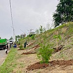 Restoration and Expansion of Forest-Plantation Works are Being Carried Out in Avan