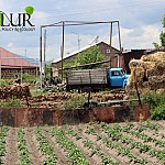 6.5 Million Euros for Energy and Climate Measures in Rural Areas in Armenia