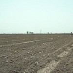 Armenia at Risk of Desertification