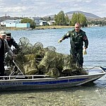 Из озера Севан вывезли 253 краболова, в озеро вернули 229 живых крабов