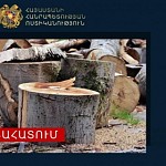 Illegal logging in Tavush and Lori Regions