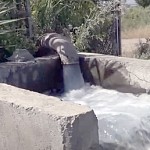 Учёные Армении разработали инновационный метод очистки воды