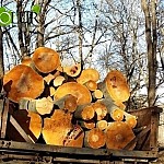 Окружающей среде нанесен ущерб в размере 2,5 миллиардов драмов