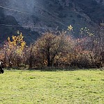 Around 80% of Armenia's Pastures Degraded to Varying Degrees