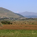 How Does Climate Change Affect Foragers? Course for Tavish Region Residents