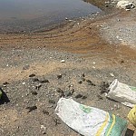 40 kg of Illegally Caught Crayfish Released Back into Herher Reservoir