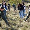 Around 200 Trees Planted in Dilijan National Park