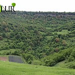 Մարտի 3-ին տոնում ենք Վայրի բնության համաշխարհային օրը