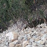 Մեղրի գետը մաքրված էր քարերից․ ՀՀ բնապահպանության և ընդերքի տեսչական մարմին