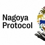RA National Assembly Adopts Law on Ratification of the Nagoya Protocol to the Convention on Biological Diversity
