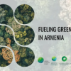 Շիրակի մարզում 500 հեկտար անտառ կստեղծվի