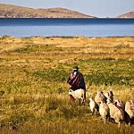 17 июня - Всемирный день борьбы с опустыниванием и засухой