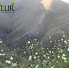 Օդի ջերմաստիճանը կբարձրանա 5-7 աստիճանով