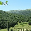 Մինչև 2030թ․ Հայաստանը նախատեսում է վերականգնել 15 հազար հեկտար դեգրադացված անտառային էկոհամակարգ