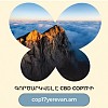 Գործարկվել է COP17-ի պաշտոնական կայքը