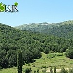 Մինչև 2030թ․ Հայաստանը նախատեսում է վերականգնել 15 հազար հեկտար դեգրադացված անտառային էկոհամակարգ
