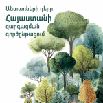 Հրապարակվել է «Անտառների դերը Հայաստանի  զարգացման  գործընթացում» տեղեկատվական թերթիկը