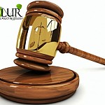 ​«Լիդիան Արմենիան» ութ ամիս անց փոփոխեց Նազելի Վարդանյանի դեմ հայցի հիմքը․ միջազգային կառույցները դատական գործընթացում SLAPP-ի հատկանիշներ են տեսնում
