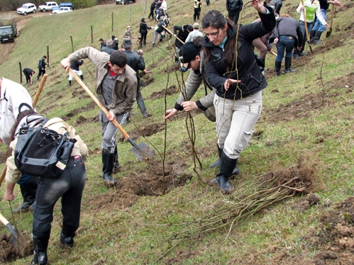 STUDENTS OF ARMENIAN UNIVERSITIES TO PLANT TREES IN TEGHOUT