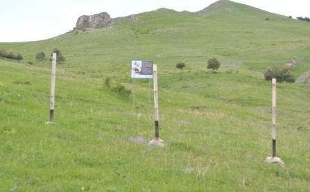 TREE PLANTING IN LORI MARZ TO MITIGATE IMPACTS OF CLIMATE CHANGES