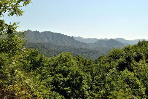 NO COMMENTS: VOICES FROM DILIJAN