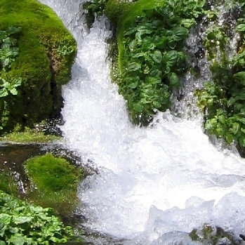 Հովիկ Աբրահամյանի հողերն են ջրում