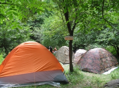 Քաղաքացիական նախաձեռնությունները կդառնա՞ն քաղաքական ուժ` հայացք ներսից