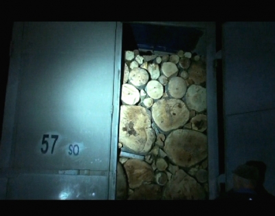 Ընդամենը 1 գիշերում ոստիկանությունը Տավուշում անտառափայտով բարձված մոտ 60 մեքենա է հայտնաբերել