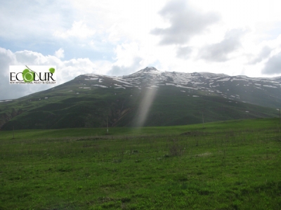 Պատգամավորական հարցում` ինչպիսին է Ամուլսարի տարածքում գտնվող պատմամշակութային հուշարձանների պահպանության ռեժիմը
