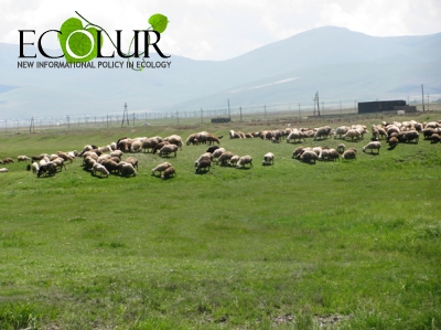 Какого мнения Совет национальной безопасности о сдаче в аренду Восточному Азербайджану земель Сюника