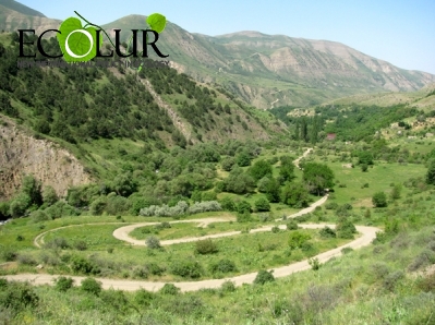 New Contest for Position of Khsorov Reserve Director