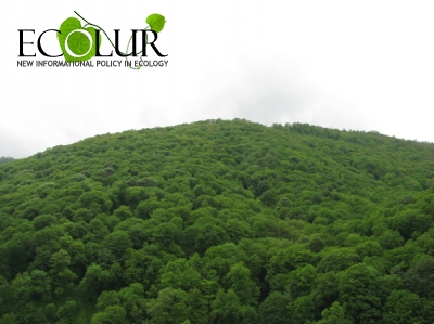 How World Forestry Day Was Celebrated on 21 March