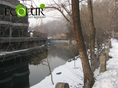 Whether Yerevan Municipality to Follow Environmental Committee in This Regard?
