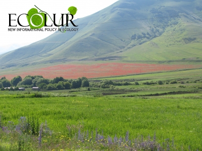 Environmental Week: June 5-9