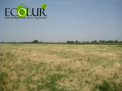 For the First Time in Armenian History Primary Use of Plough Lands to Reach 72%