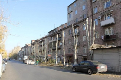Мэрия продолжает "улучшать" деревья Еревана способом глубокой обрезки