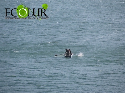 В озере Севан невозможно остановить браконьерство, считают чиновники