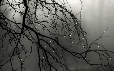 Ինչ եղանակ է սպասվում հունվարի 30-ին