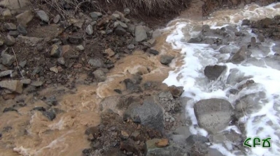 ВПФ требует от прокуратуры призвать к ответственности компанию Лер-Экс