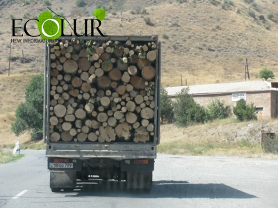«Արփա-3» ՓՀԷԿ-ի կառուցման դեպքում կհատվի 442 ծառ