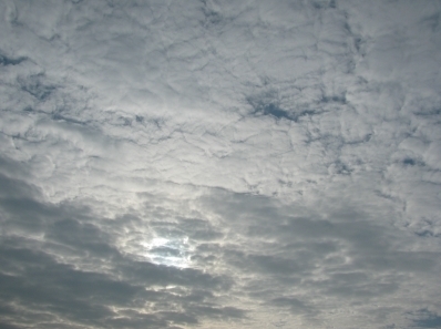 What is Weather for April 25