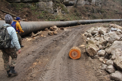 Активисты: дорога, проложенная при строительстве МГЭС "Хачахбюр-2'', помогла осуществить лесные рубки в Иджеванском заказнике
