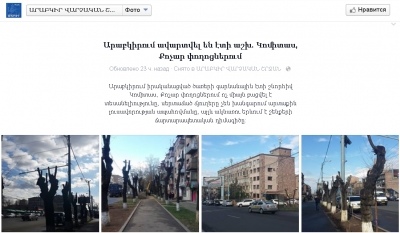 Наконец стало ясно, почему в Ереване деревья глубоко обрезают