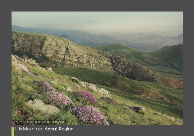 Red-Listed Species Habitat, Urtsasar, Victim of Travertine Mine (Photos)